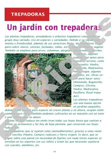 Un jardín con trepadoras