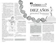 No. 146, p. 10, Diez años del genoma humano - Cómo ves? - UNAM