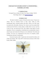 checklist of scoliidae - Zoological Survey of India