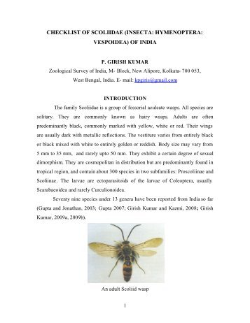 checklist of scoliidae - Zoological Survey of India