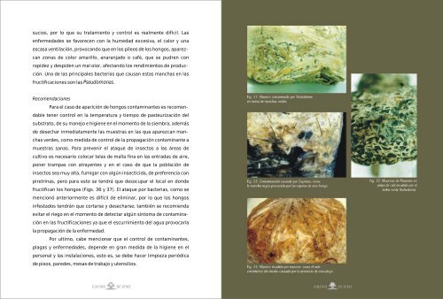 Manual práctico del cultivo de setas - Inecol