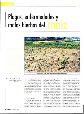 Malvar - Plagas, enfermedades y malas hierbas del maíz .pdf