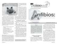 No. 169, p. 22, Anfibios: la sensible piel de la biodiversidad