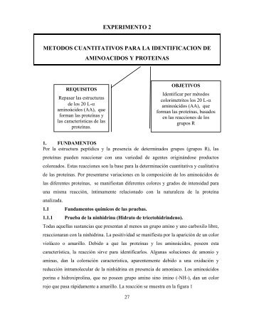 experimento 2 ident - Web del Profesor