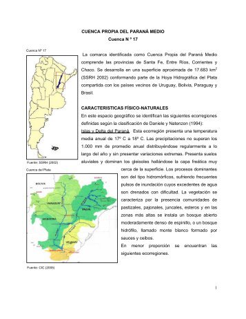 17 cuenca propia del parana medio - Subsecretaría de Recursos ...