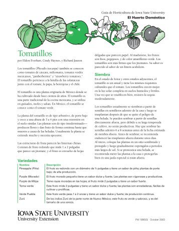 Tomatillos - Iowa State University Extension and Outreach