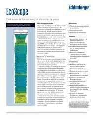 EcoScope - Schlumberger