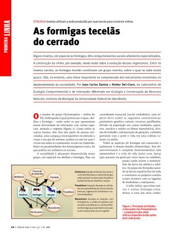 As formigas tecelãs do cerrado