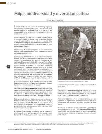 Milpa, biodiversidad y diversidad cultural. Formato PDF - CICY