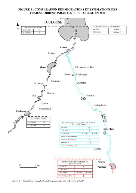 Suivi de la fraie des salmonidés migrateurs sur l'Ariège en 2010