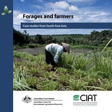 Forages and farmers: case studies from South-East Asia - Australian ...