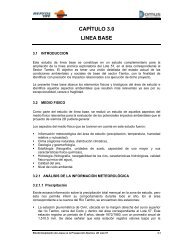 CAPÍTULO 3.0 LINEA BASE - Ministerio de Energía y Minas