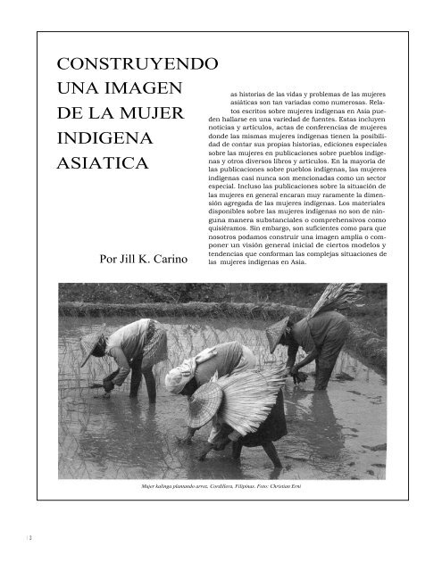 descargar (pdf) - iwgia