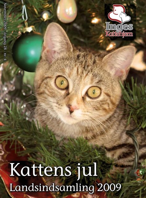 Kattens jul - Inges Kattehjem