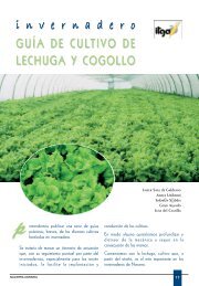 invernadero GUÍA DE CULTIVO DE LECHUGA Y ... - Navarra agraria