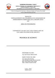 informe nº 12- 2008- jevd/igeg/zeea - Fot - Gobierno Regional Cusco