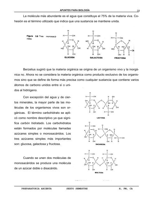 Modulo 1: Primeras Investigaciones sobre estructura - Prepa Abierta