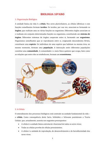 BIOLOGIA 10ºANO - Resumos.net