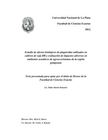 Documento completo - SeDiCI - Universidad Nacional de La Plata