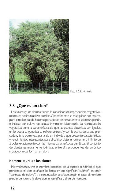 manual_salix.pdf - INTA