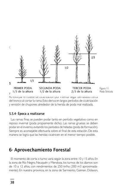 manual_salix.pdf - INTA