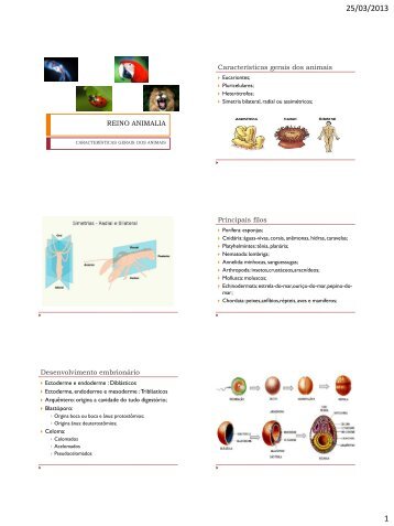 REINO ANIMALIA Características gerais dos animais Principais filos ...