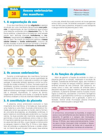 C3 2A Biologia Prof