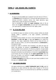 TEMA 3: LAS AGUAS DEL PLANETA - Colegio Ramón Carande