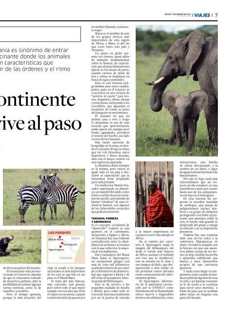 Suplemento - El Financiero