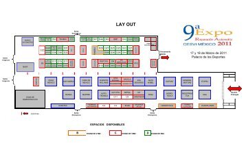 LAY OUT - Cesvi México