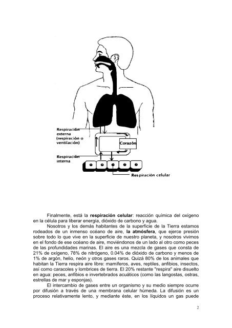 porque necesitamos un sistema respiratorio - SILADIN Oriente ...