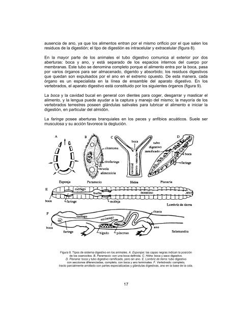 BIOLOGÍA II - Conevyt