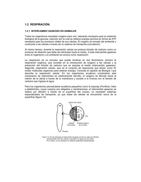 BIOLOGÍA II - Conevyt