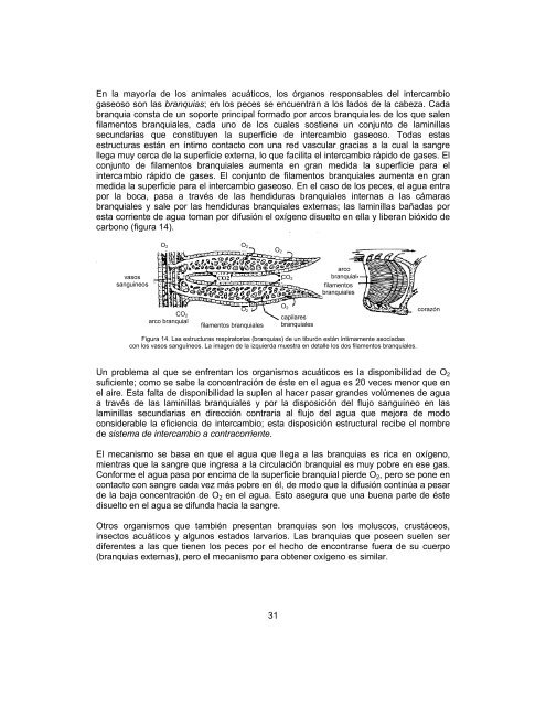 BIOLOGÍA II - Conevyt