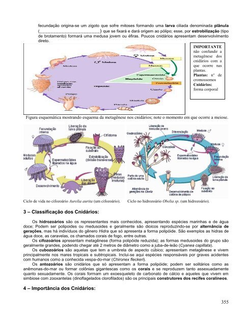 Apostila de Biologia IV (pág. 328 a 450)