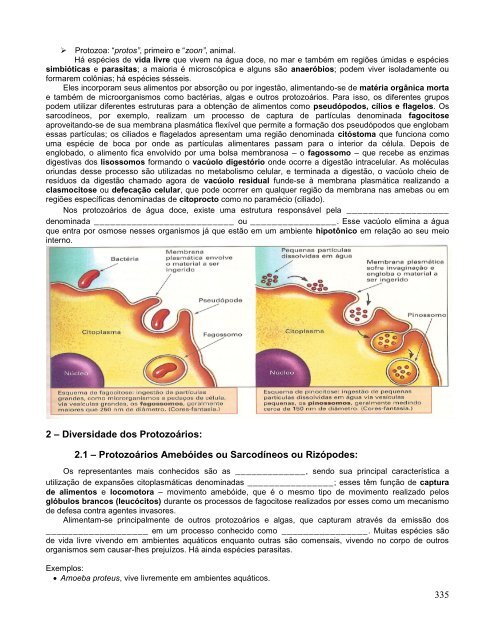 Apostila de Biologia IV (pág. 328 a 450)