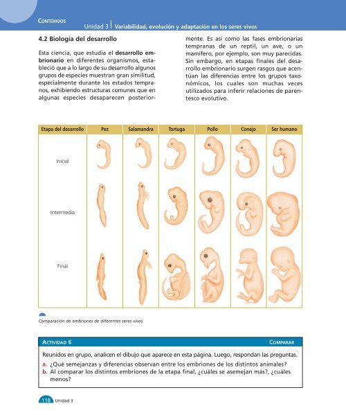 Unidad 1 1-32:M media - Yo estudio