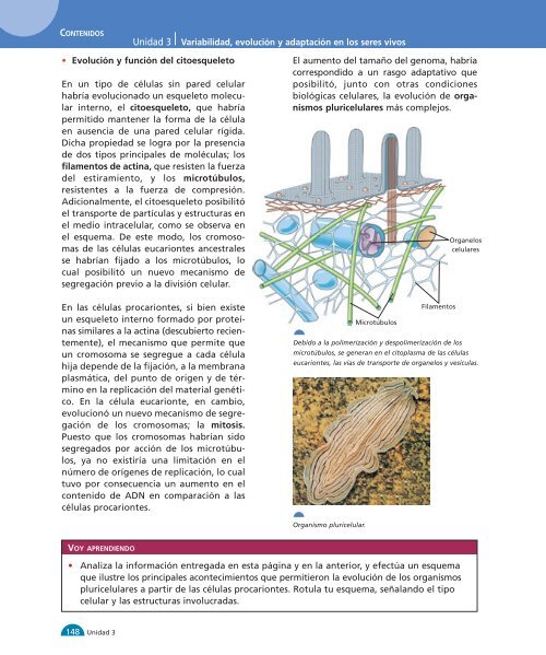 Unidad 1 1-32:M media - Yo estudio