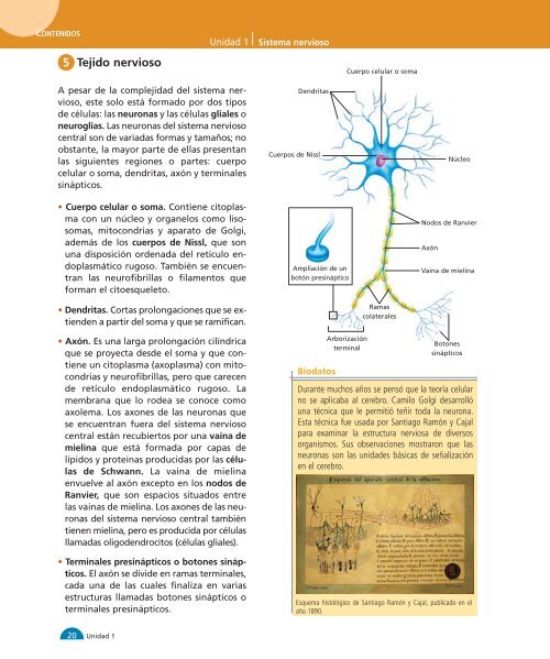 Unidad 1 1-32:M media - Yo estudio