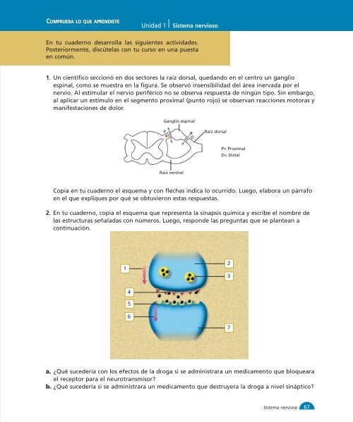 Unidad 1 1-32:M media - Yo estudio