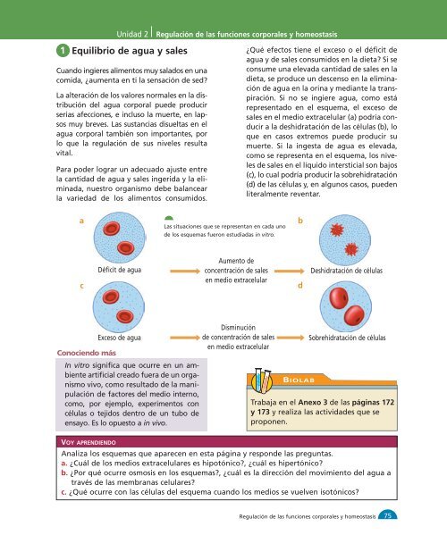 Unidad 1 1-32:M media - Yo estudio