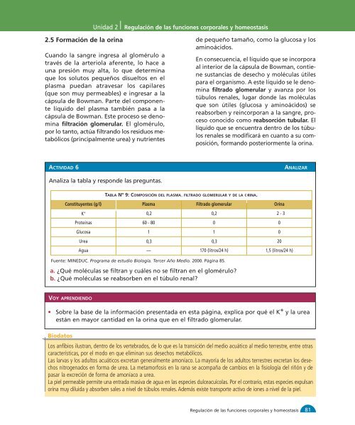 Unidad 1 1-32:M media - Yo estudio