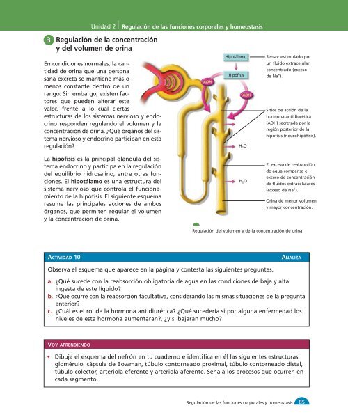 Unidad 1 1-32:M media - Yo estudio