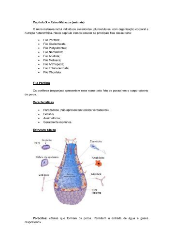 Apostila biologia cefet-coltec 4.pdf - Webnode