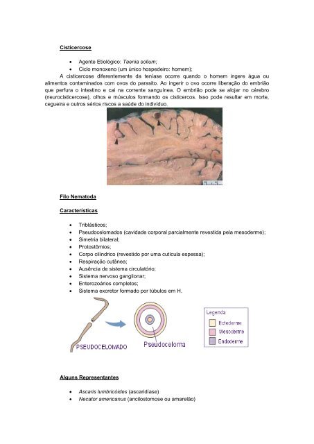 Apostila biologia cefet-coltec 4.pdf - Webnode