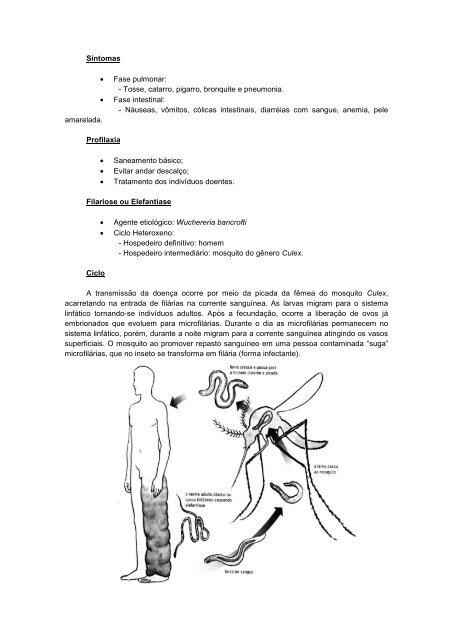 Apostila biologia cefet-coltec 4.pdf - Webnode