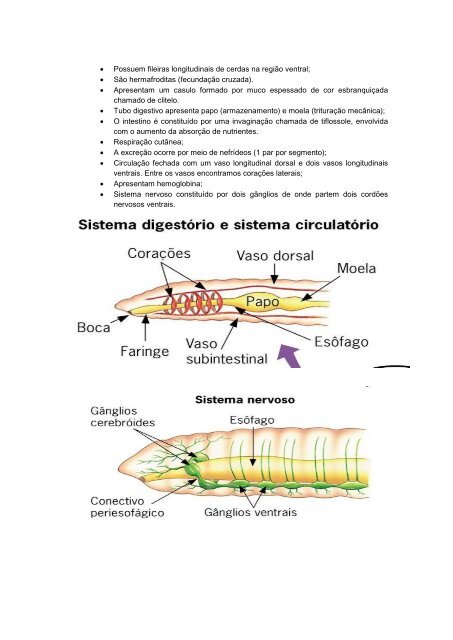 Apostila biologia cefet-coltec 4.pdf - Webnode