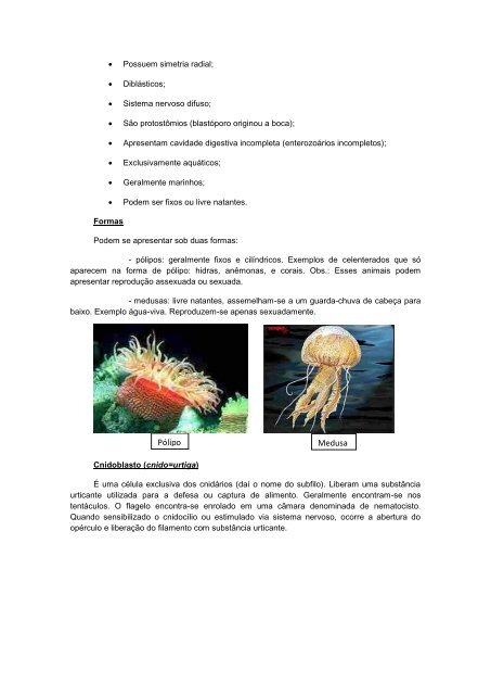 Apostila biologia cefet-coltec 4.pdf - Webnode