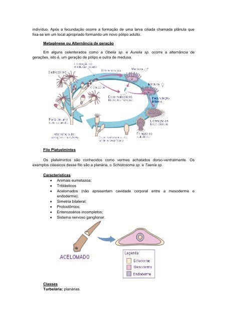 Apostila biologia cefet-coltec 4.pdf - Webnode