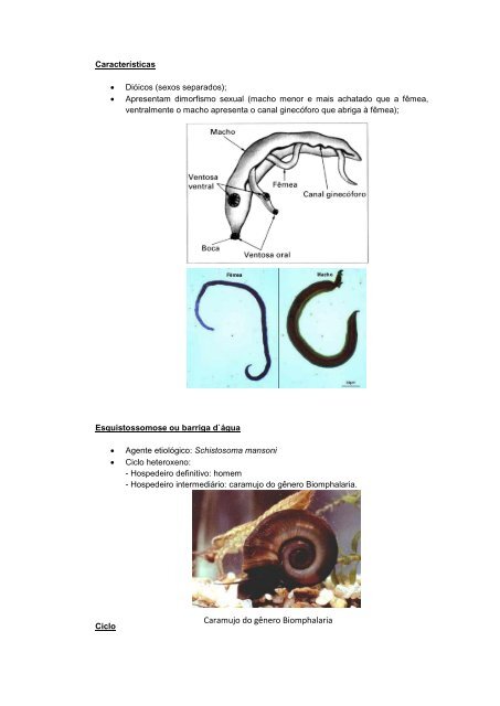 Apostila biologia cefet-coltec 4.pdf - Webnode